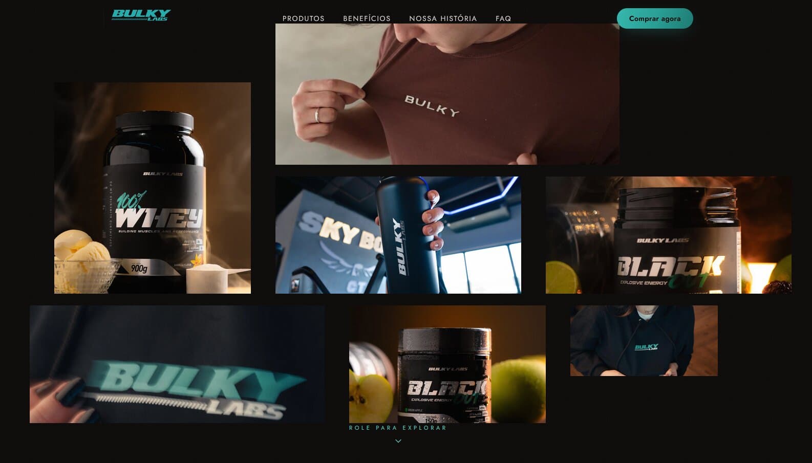 Bulky Labs — landing page